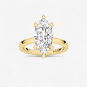 Azra Hidden Halo Ring