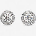 Halo Round Stud Earrings