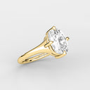 Ceren Old Mine Compass Solitaire