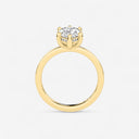 Azra Hidden Halo Ring