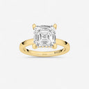 Azra Hidden Halo Ring