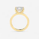 Azra Hidden Halo Ring