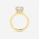 Azra Hidden Halo Ring