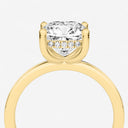 Azra Hidden Halo Ring