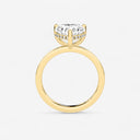 Azra Hidden Halo Ring