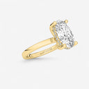 Azra Hidden Halo Ring