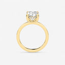 Azra Hidden Halo Ring