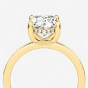 Azra Hidden Halo Ring