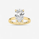Azra Hidden Halo Ring