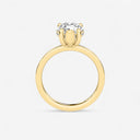 Azra Hidden Halo Ring