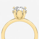 Azra Hidden Halo Ring
