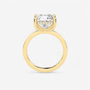 Azra Hidden Halo Ring