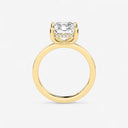 Azra Hidden Halo Ring