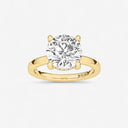 Round Hidden Halo Engagement Ring