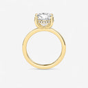 Round Hidden Halo Engagement Ring