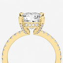 Auriela Hidden Halo Ring