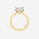Auriela Hidden Halo Ring