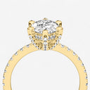 Lucia Pave Ring