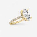 Auriela Hidden Halo Ring