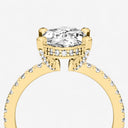 Auriela Hidden Halo Ring
