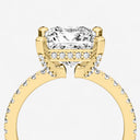 Lucia Pave Ring