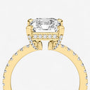 Auriela Hidden Halo Ring